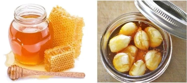 Benefits of Garlic Soaked in Honey